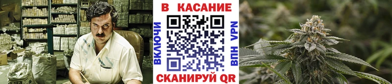 Купить наркотики цена Гатчина Кокаин  Alpha-PVP  МЕФ 