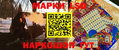СК Бийск