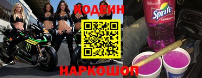 СК Бийск