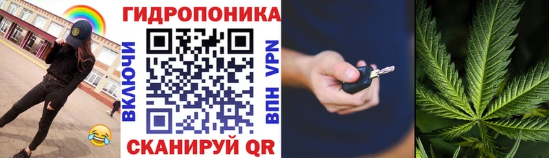 как найти наркотики  Гатчина  МАРИХУАНА Bruce Banner 